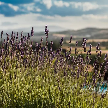 ファームステイ Casalantico